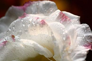 《机甲世界复活》全新截图 最低配置公布